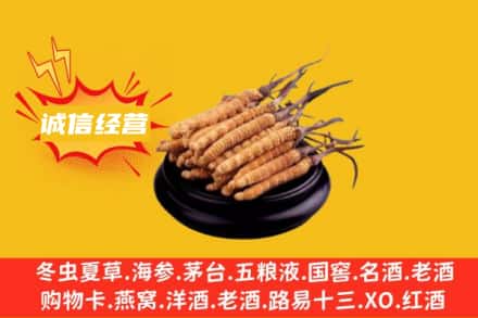 贵阳回收冬虫夏草
